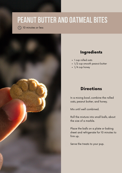 Dog Treats Recipe Book